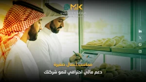 محاسب أعمال صغيرة | دعم مالي احترافي لنمو شركتك